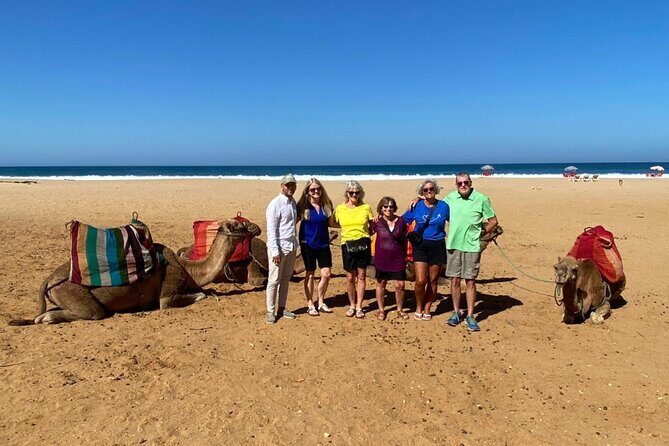 Tangier tour from Malaga all inclusive - Experiencing Morocco’s Natural Beauty and Wildlife