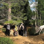 Tankavaara: Gold Museum Entry Ticket - Final Thoughts