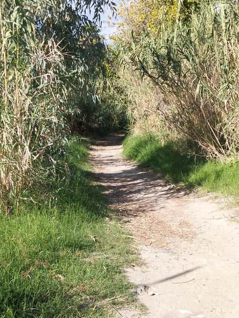 Taormina: Excursion on the Saracen Path - Details That Matter