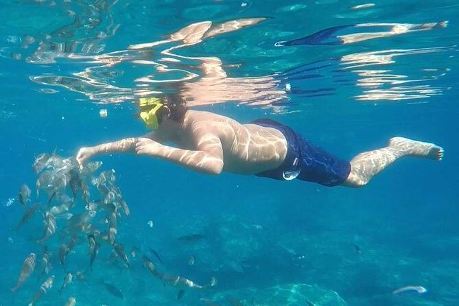 Taormina snorkeling experience - The Snorkeling Sites