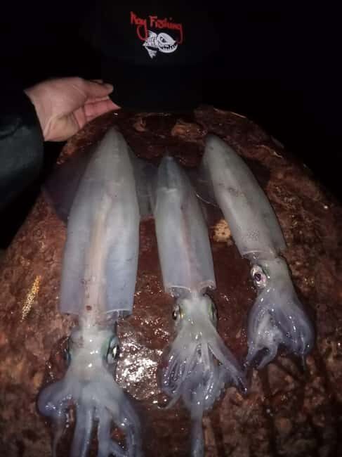 TAORMINA:CATAMARAN FISHING TRIP WITH ROY FISHING - What to Expect During the Trip