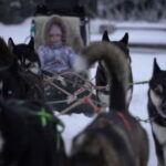 TARTU COUNTRY: SLED DOG TOUR AND KENNEL VISIT - Logistics and Practical Details