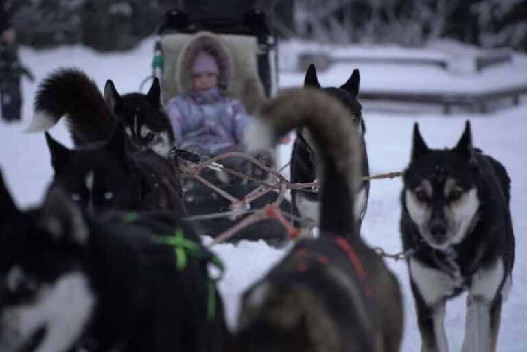 TARTU COUNTRY: SLED DOG TOUR AND KENNEL VISIT - Logistics and Practical Details
