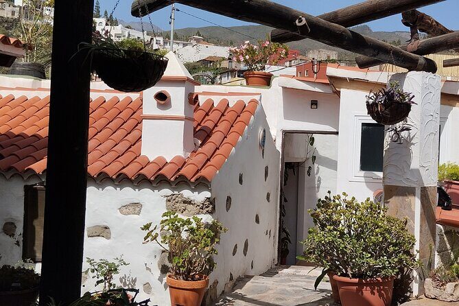 Taste Journey in an Ancient Canarian Village - Who Would Love This Tour?