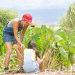 Taste of Hawaii: A Maui Farm Tour - Who Should Consider This Tour