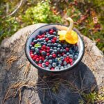 Taste of Lapland - The Guides and Overall Atmosphere