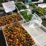 Taste of Setubal: Market Visit and Wine Tastings - Final Thoughts