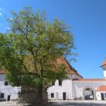 Taste the history and present of beer in eský Krumlov - Who is this tour best suited for?