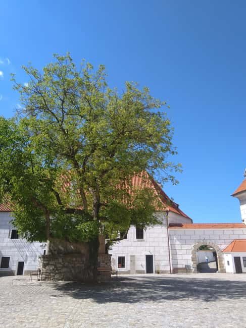 Taste the history and present of beer in eský Krumlov - Who is this tour best suited for?