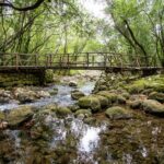 Taste & Tradition of Dubrovnik Countryside - Practical Details & What to Expect