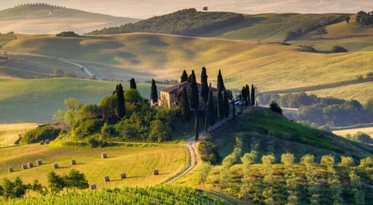 Taste Tuscany: Truffle Hunt, Cooking Class, Wine & Olive Oil - Is It Worth It?