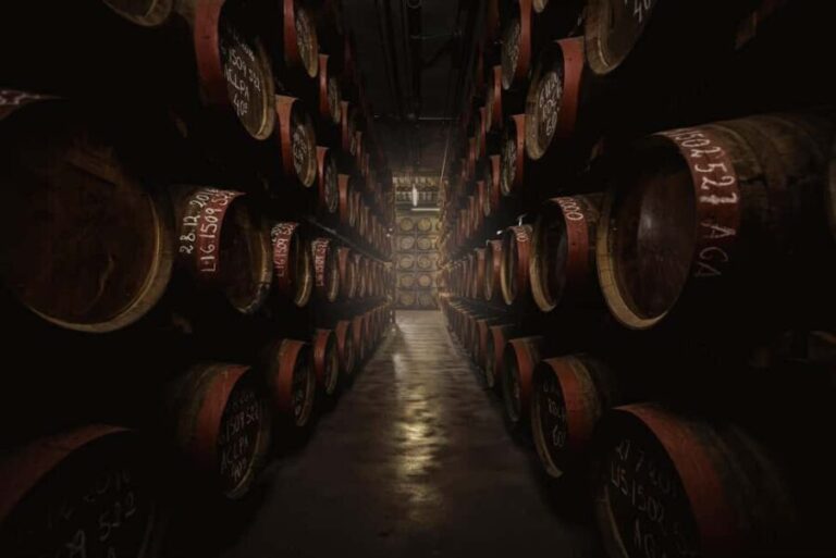 Tastes of Gran Canaria A Day of Flavours and Culture - Practical Details to Keep in Mind