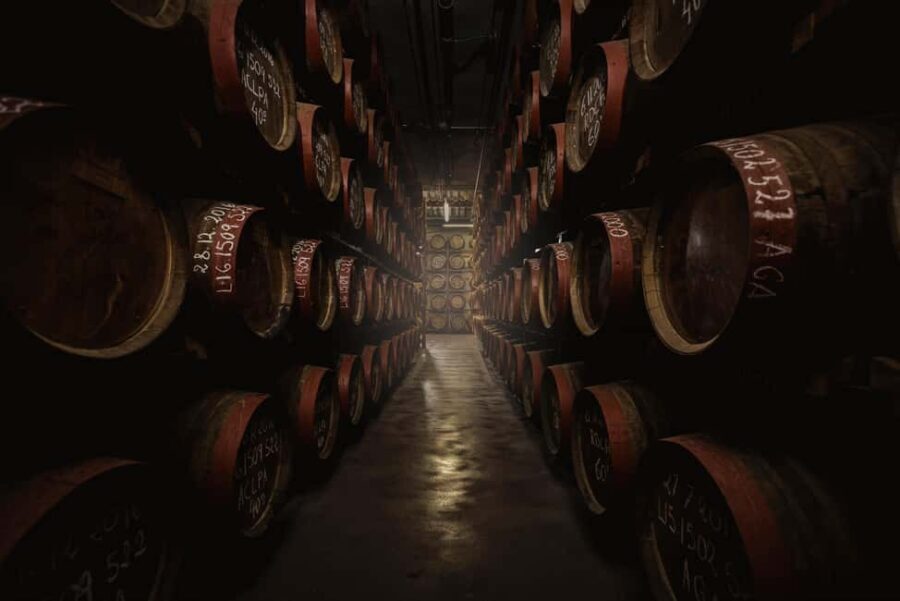 Tastes of Gran Canaria A Day of Flavours and Culture - Practical Details to Keep in Mind