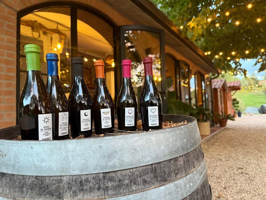 Tasting 6 craft beers and a Tuscan platter in Chiusi - What to Expect and Practical Details