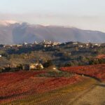 Tasting and tour of the winery - Authenticity and What Visitors Say