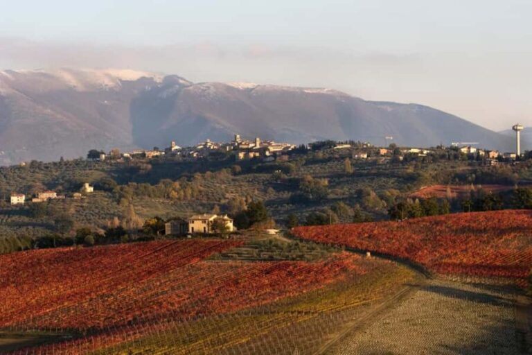 Tasting and tour of the winery - Authenticity and What Visitors Say