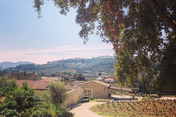 Tasting Bandol Wines & Visit of Cellar (in English) - The Winery Environment and Guides