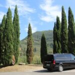 Tasting in a Tuscan Vineyard with transfer from Pisa - What We Loved About the Tour