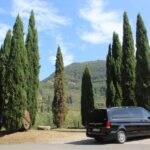 Tasting in a Tuscan Vineyard with transfer from Pisa - What You Can Expect from the Tour