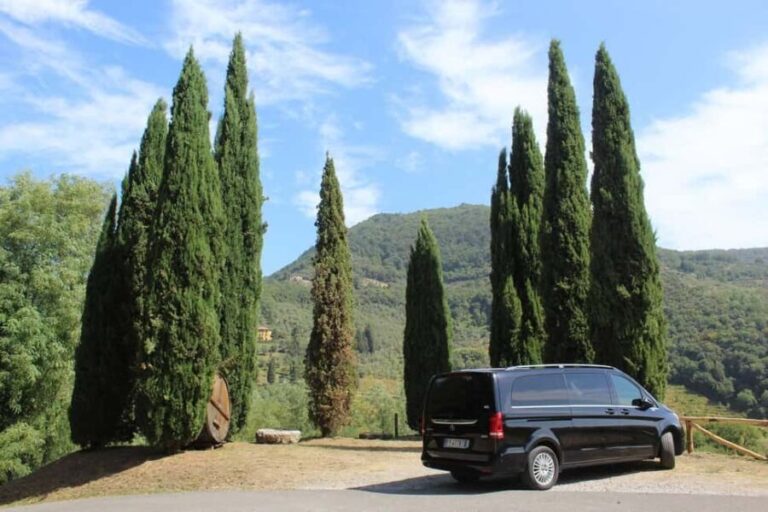 Tasting in a Tuscan Vineyard with transfer from Pisa - What You Can Expect from the Tour