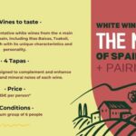 Tasting: Northern Spain White Wines + Pairing - Deepening Your Wine Knowledge