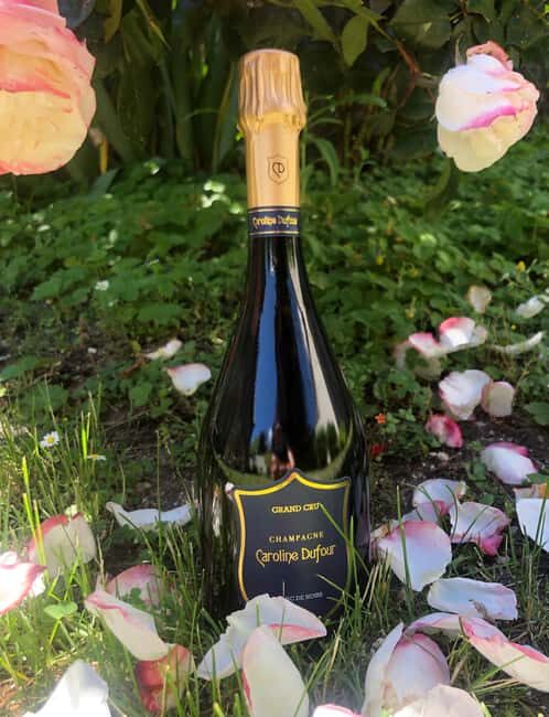 Tasting of Champagne Blanc de Noirs and Cheese in the heart of Reims - An In-Depth Look at the Champagne and Cheese Tasting Experience in Reims