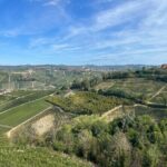 Tasting of Classic Method Sparkling Wines - Why Is This Experience Worth Considering?