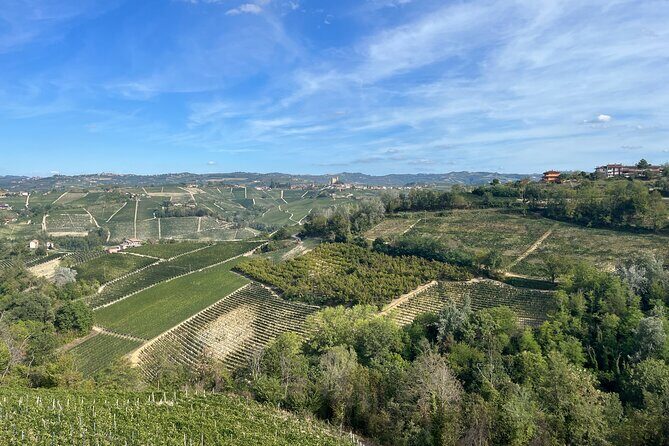 Tasting of Classic Method Sparkling Wines - Why Is This Experience Worth Considering?