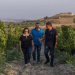 Tasting of EVO Wines and Oil in the countryside of Agrigento - How It All Comes Together