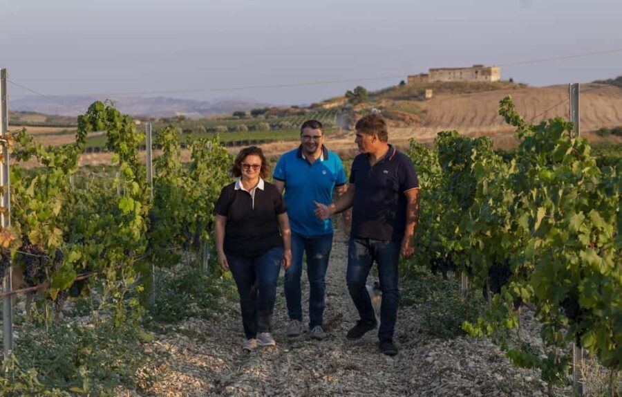 Tasting of EVO Wines and Oil in the countryside of Agrigento - How It All Comes Together