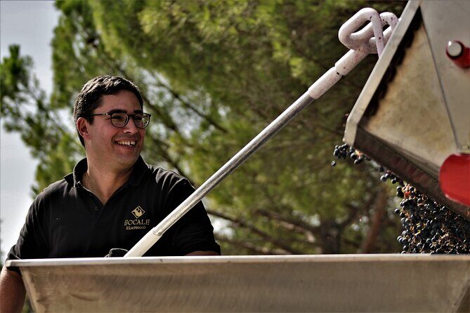 Tasting Selection of 4 wines in Montefalco - The Wines and Tasting Details