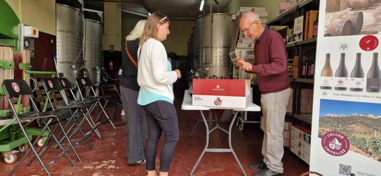 tasting wines in the vineyards with hotel pickup hotel - The Details of the Experience