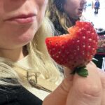 Tasty Trionfale Farmers Market Food Tour and Local Wines Tasting - What to Expect from the Tour