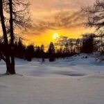 Tauplitz: Snowshoeing Adventure for Beginners - Who Is This Tour Best For?