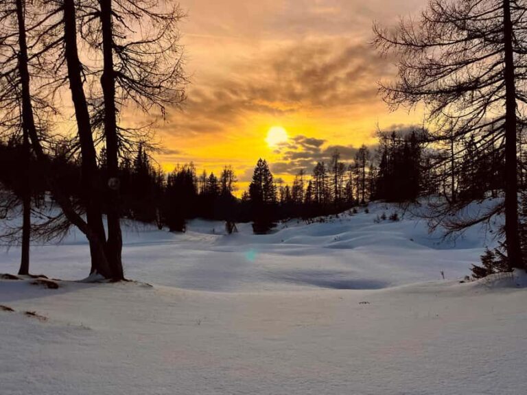 Tauplitz: Snowshoeing Adventure for Beginners - Who Is This Tour Best For?