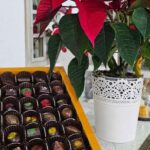 Tavira City & Chocolate - The Experience in Detail