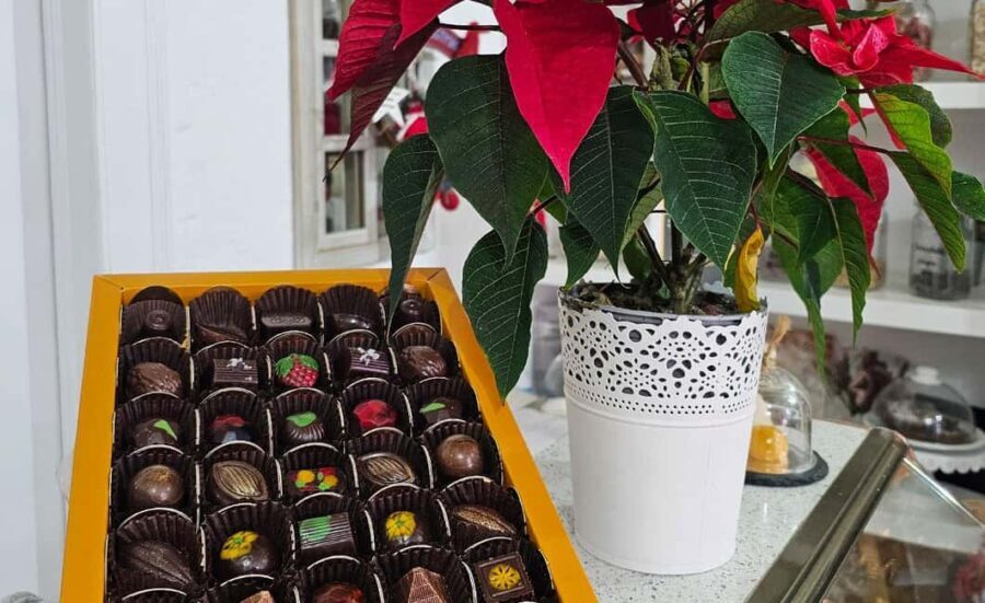 Tavira City & Chocolate - The Experience in Detail