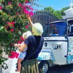 Tavira: Tuk-Tuk City Tour - Who Will Love This Tour?