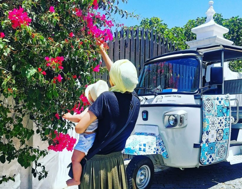 Tavira: Tuk-Tuk City Tour - Who Will Love This Tour?