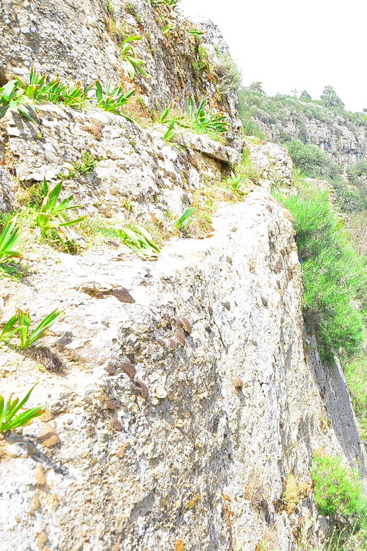 Taz Canyon, Avatar Lands and Selge Ancient City Tour - How the Experience Measures Up