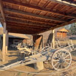 Tbilisi: 12 Regions of Georgia - Tour with Round Transfers - Practical Considerations and Tips