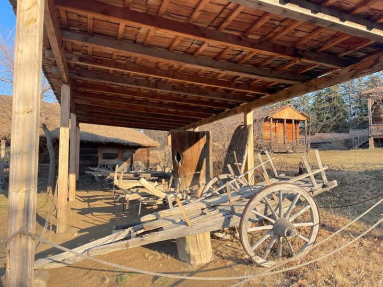 Tbilisi: 12 Regions of Georgia - Tour with Round Transfers - Practical Considerations and Tips