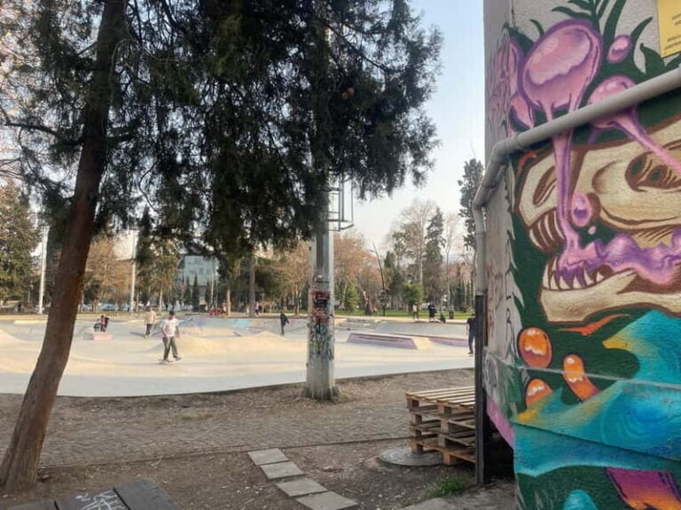 Tbilisi 2 Parks: Turtle Lake & Dedaena Park with Flea Market - The Practical Side