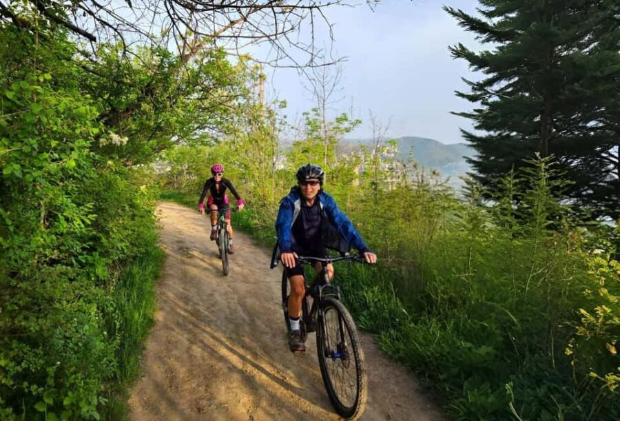 Tbilisi Bike Tour: Peace Bridge, Old Town & Sameba Views - The Experience: Practicalities and Tips