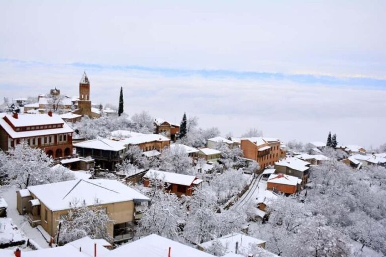 Tbilisi: Chronicle of Georgia, Bodbe & Sighnaghi Tour - Practical Considerations