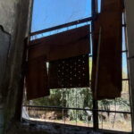 Tbilisi: Crime Stories & Hidden Tales Walking Tour - The Details: Logistics and Value