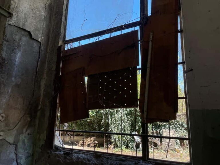 Tbilisi: Crime Stories & Hidden Tales Walking Tour - The Details: Logistics and Value