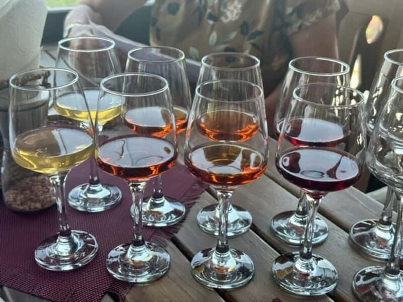 Tbilisi: Individual Wine Tasting with Professional Sommelier - What Makes This Tour Stand Out