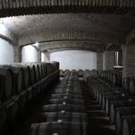 Tbilisi: Kakheti Wine Tour with Kindzmarauli Winery Visit - The Practical Details