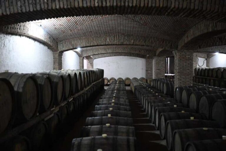 Tbilisi: Kakheti Wine Tour with Kindzmarauli Winery Visit - The Practical Details